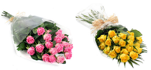 http://funnygifts.ru/wp-content/uploads/2011/02/roses5.png