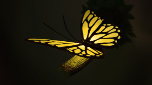 Yellow_Butterfly_Deco_Light_03